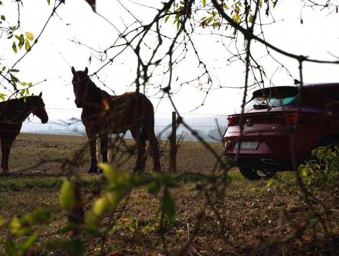 Concours Photo Seat Leon SAN Mazuin