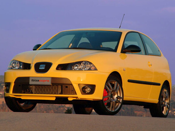 Seat Ibiza Cupra 2004