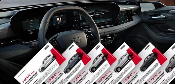 Voucher Salon Audi